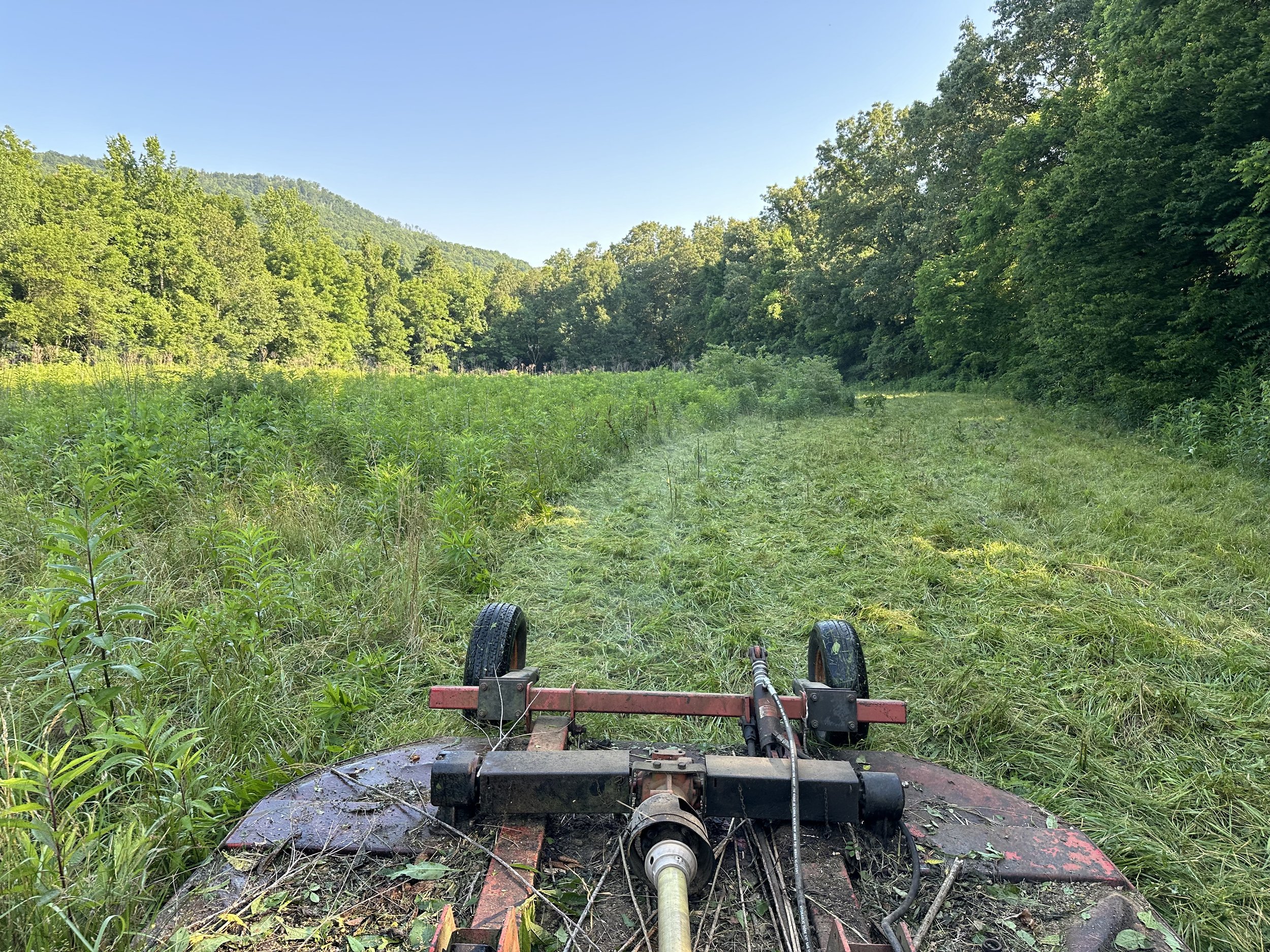 View from a mower cutting through tall grass in a lush, green field surrounded by trees, with a clear blue sky and distant mountains in the background.