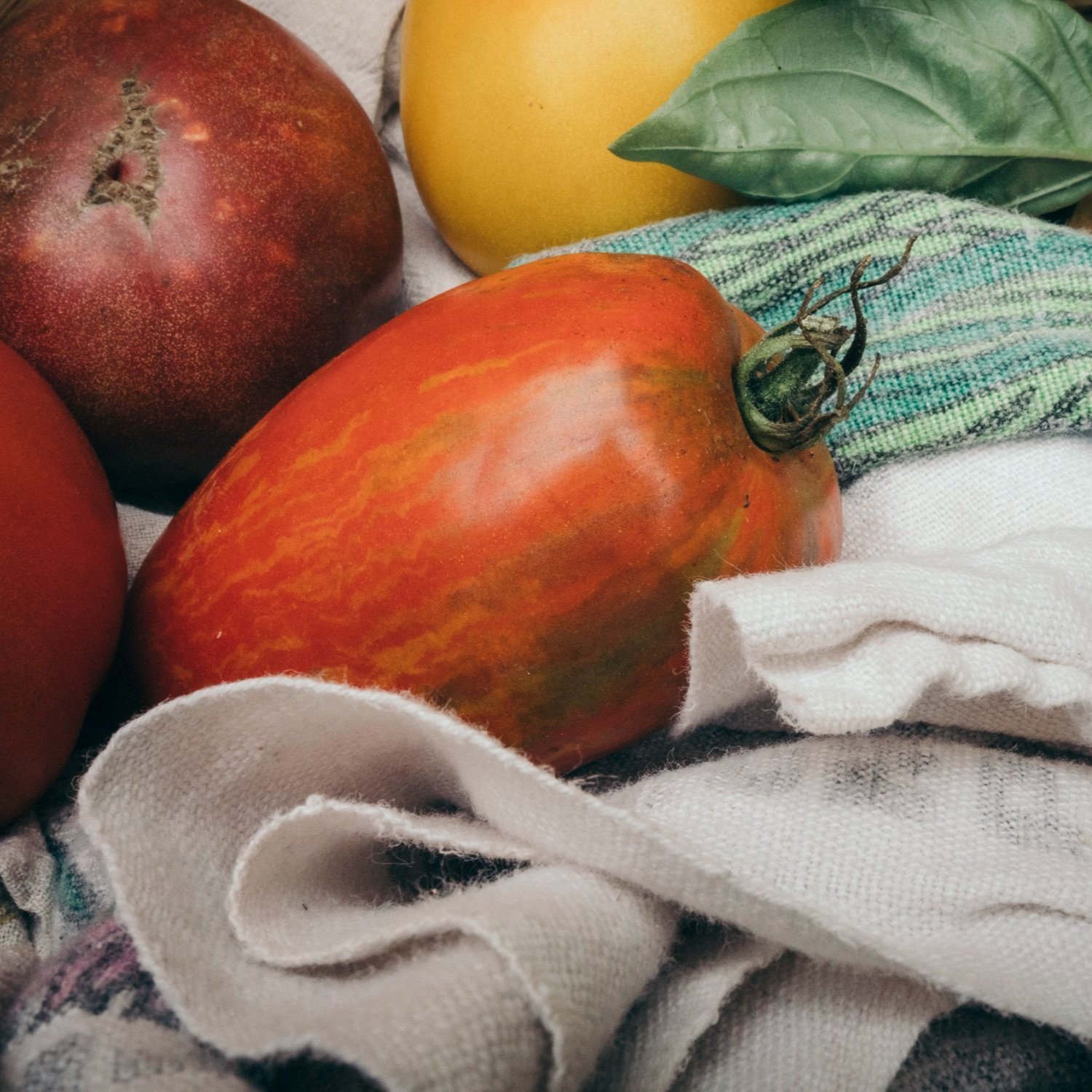 fbgh5_20190715-184507-2 Fresh heirloom tomatoes and a lemon arranged on a textured fabric backdrop, highlighting vibrant colors and natural elements, perfect for farm-to-table recipes or healthy eating concepts.